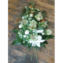 GERBE PIQUÉE DANS LA MOUSSE