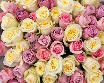Bouquet de fleurs de saison composé à la main par Rosae, artisan fleuriste à Hyères