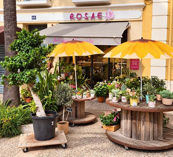 Devanture de Rosae, artisan fleuriste à Hyères, avec plantes, fleurs et compositions exposées avenue Gambetta