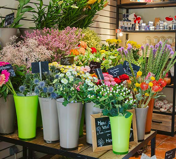 Sélection de fleurs coupées fraîches et colorées présentées dans la boutique Rosae, artisan fleuriste à Hyères