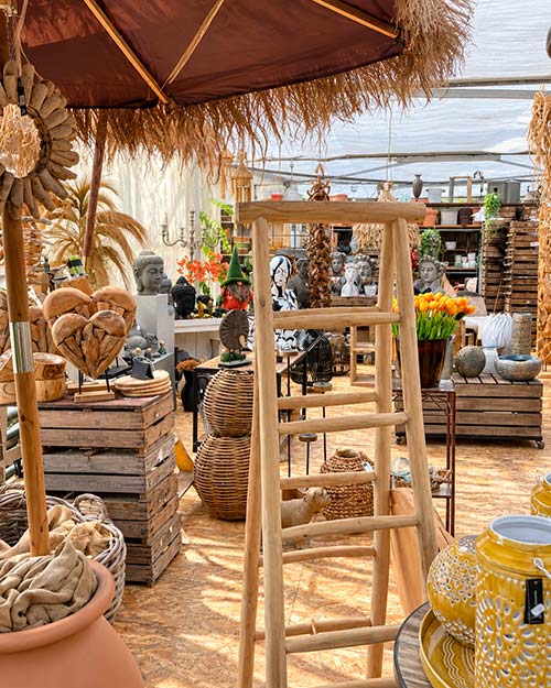 Serre de la jardinerie La Farigoulette à Hyères, plantes en pot et végétaux de saison