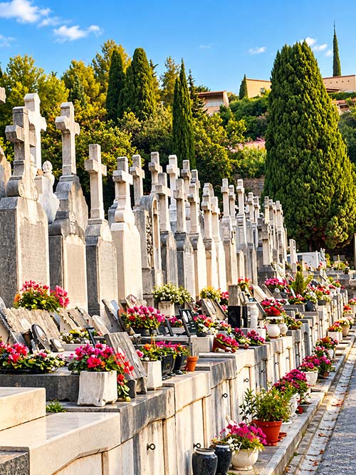 Allée de tombes fleuries au cimetière de la Ritorte à Hyères, ornées de plantes et de compositions florales.