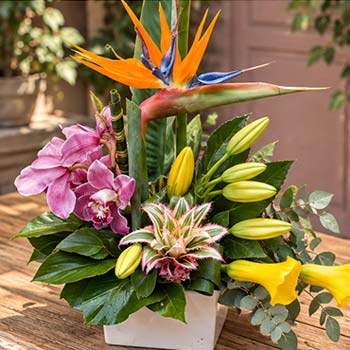 Composition florale en coupe avec strelitzia, orchidée et arums jaunes, réalisée par Rosae à Hyères